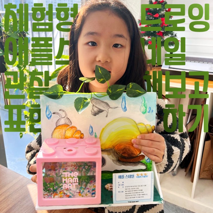  11월 체험형드로잉 [애플스네일] 관찰하고 그리기 - 온샘더함미술학원