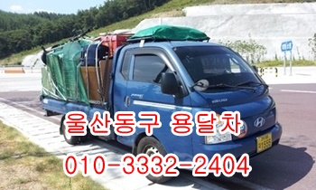  울산동구용달 방어진 울릉도 정자 감포 양북 양남 제주도.