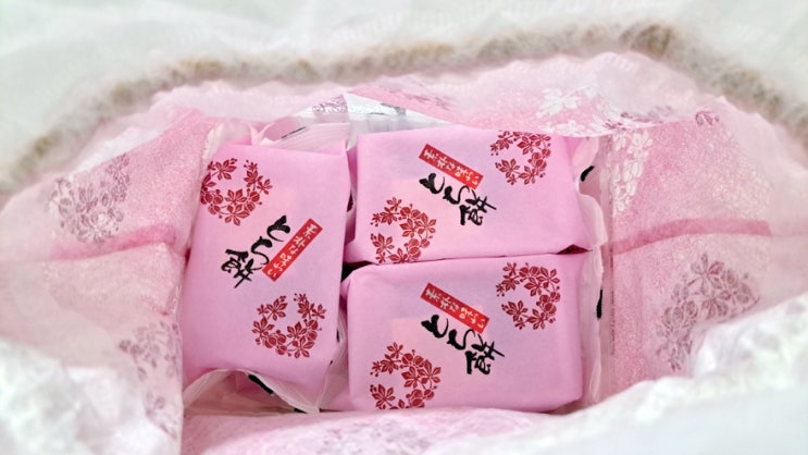 도치기현(栃木県) 명물 아오이노쇼 도치모치 달콤한 떡! 도치기현(栃木県) 명물 아오이노쇼 도치모치 달콤한 떡!