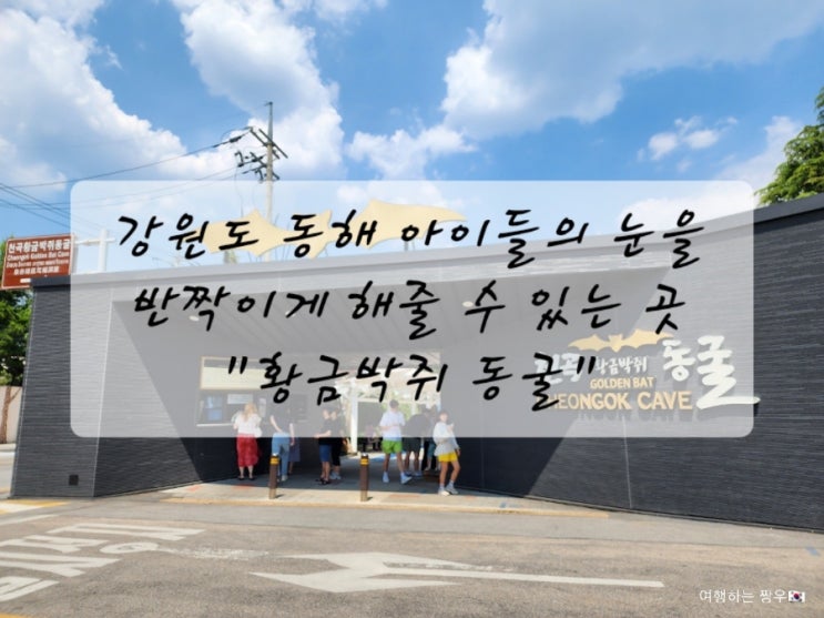  강원도 동해, 아이의 눈을 반짝이게하는 "황금박쥐 동굴"