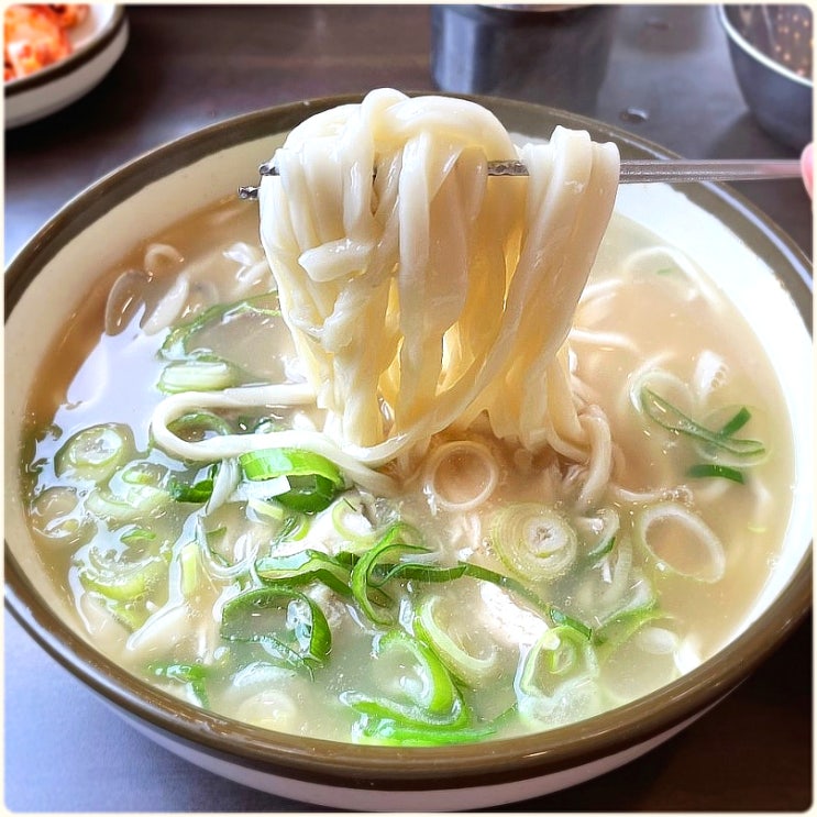 일산 칼국수 맛집 닭칼국수 본점 웨이팅 맛 후기