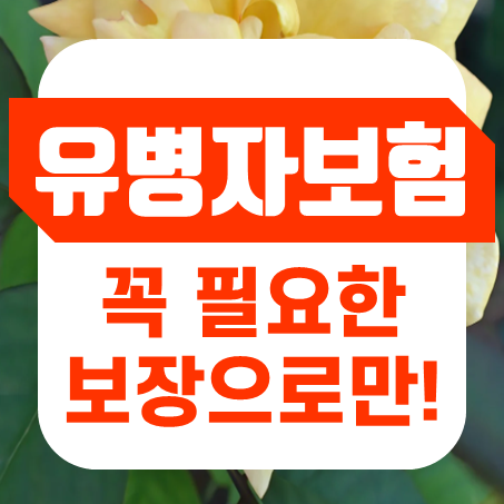  아팠던 분들이나 고령자에게 필요한 유병자건강보험 및 유병력자암보험에 대해 안내 드립니다.