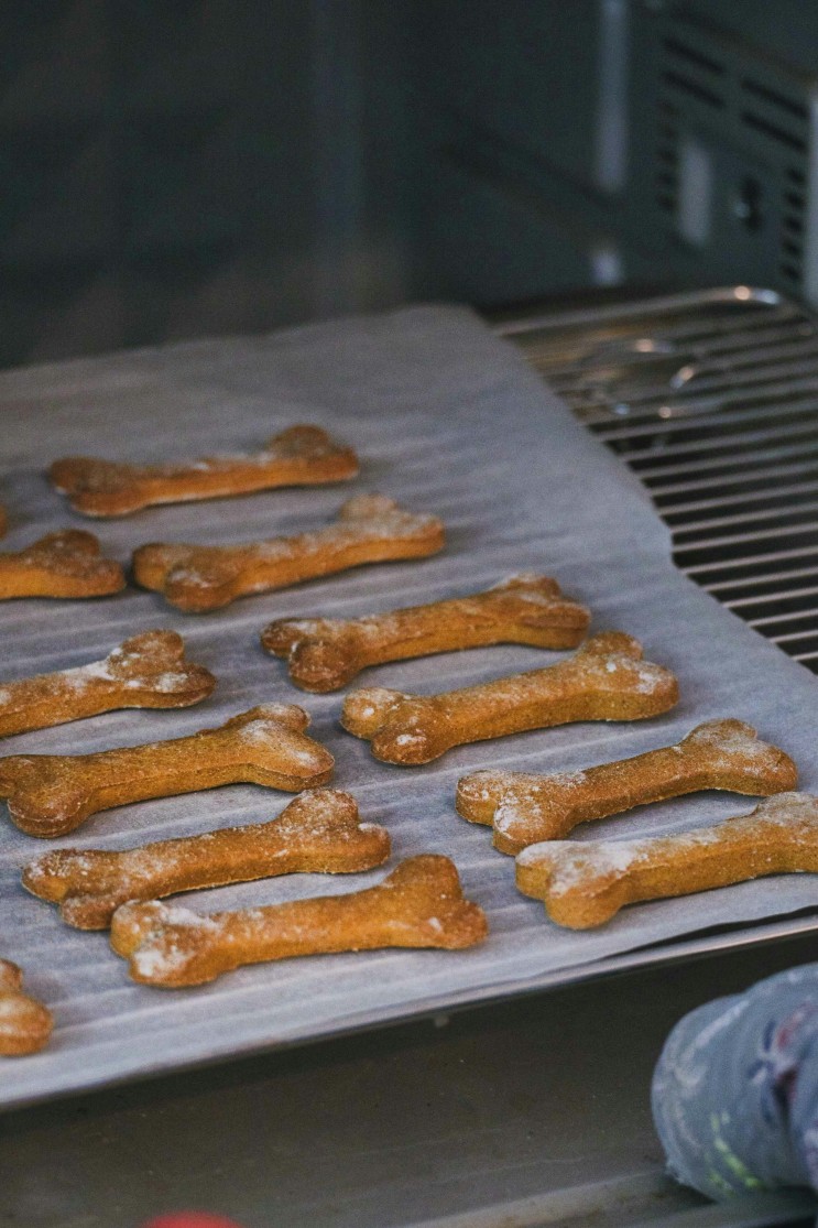 에어프라이어로 쉽게 만드는 강아지 겨울철 건강 간식 레시피, 고구마 쿠키