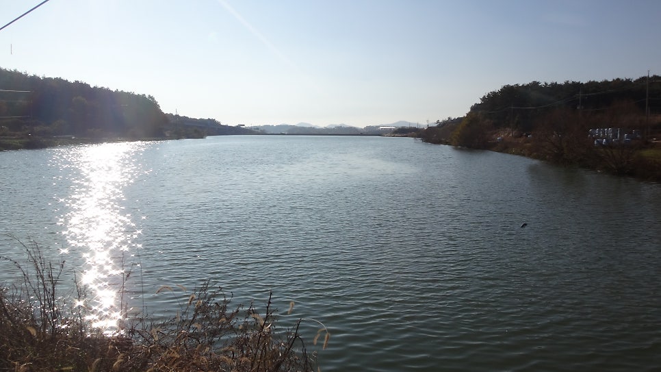백호제 사진 3