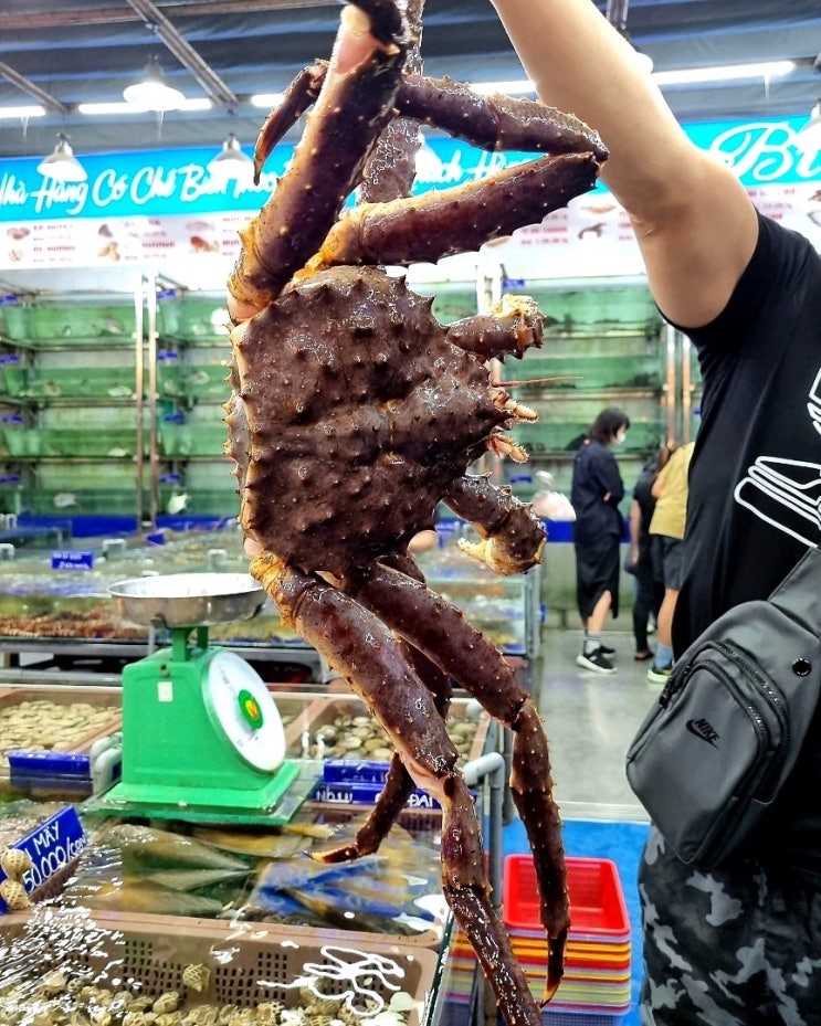 다낭 미케비치 해산물 맛집 랑카 킹크랩 3.2kg 가격은?