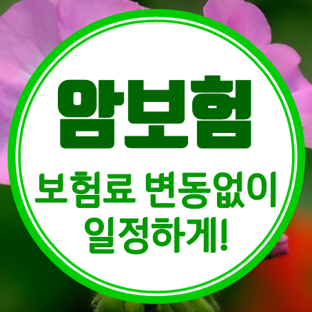  암보험 비갱신 가입조건 비교, 가격 변동이 없는 갱신없는암보험 추천 받으세요.
