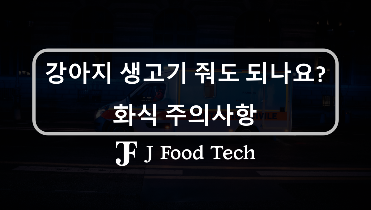 강아지 생식 화식 레시피 시도해 보기, 생고기 주면 좋은점 5가지 강아지 생식 화식 레시피 시도해 보기, 생고기 주면 좋은점 5가지