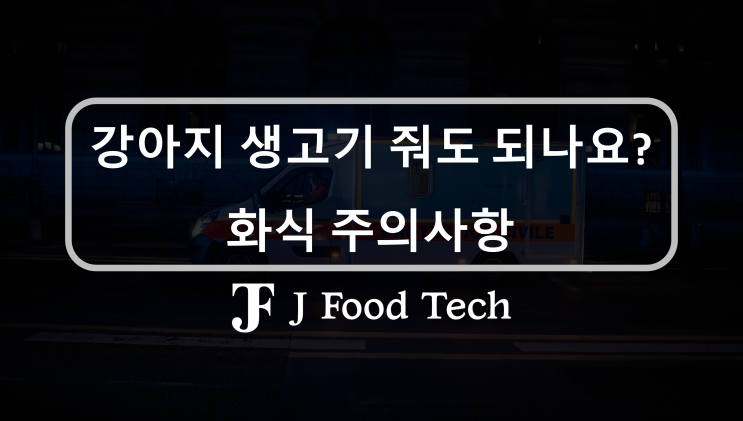 강아지 생식 화식 레시피 시도해 보기, 생고기 주면 좋은점 5가지