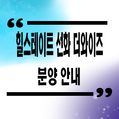 힐스테이트 선화 더와이즈 회사보유분 미분양 잔여세대 선화동 현대건설 신규아파트 분양가 문의