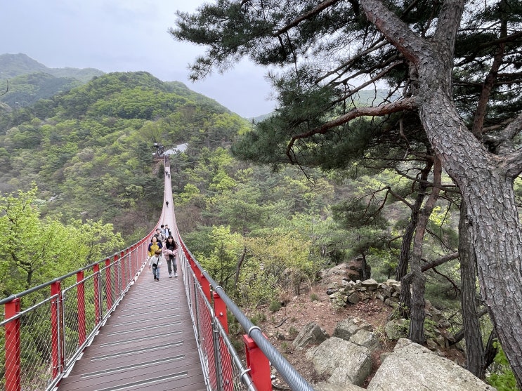  [BAC100] 감악산(#026), 최단 코스(출렁다리, 운계폭포, 범륜사, 정상)