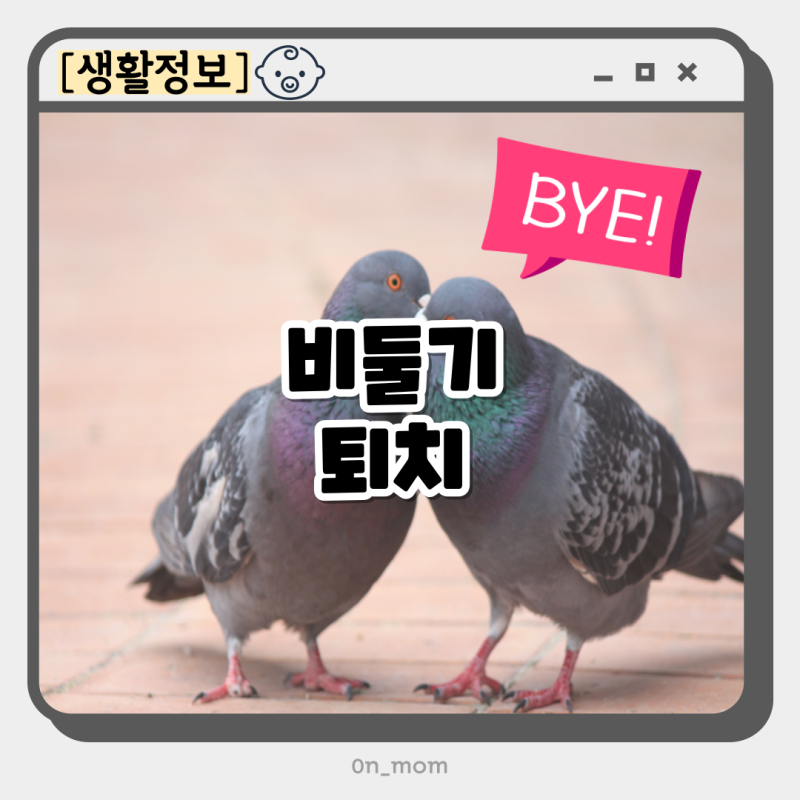 비둘기 퇴치 아파트 베란다 실외기 알 제거 다이소 네트망 스프레이 버드스파이크 퇴치법