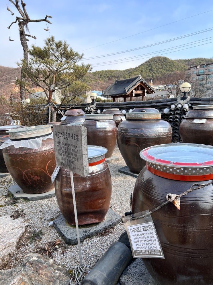  경기도광주 곤지암 한정식 궁뜰 맛있는발효밥상 곤지암리조트 스키장 맛집 내돈내산 솔직후기
