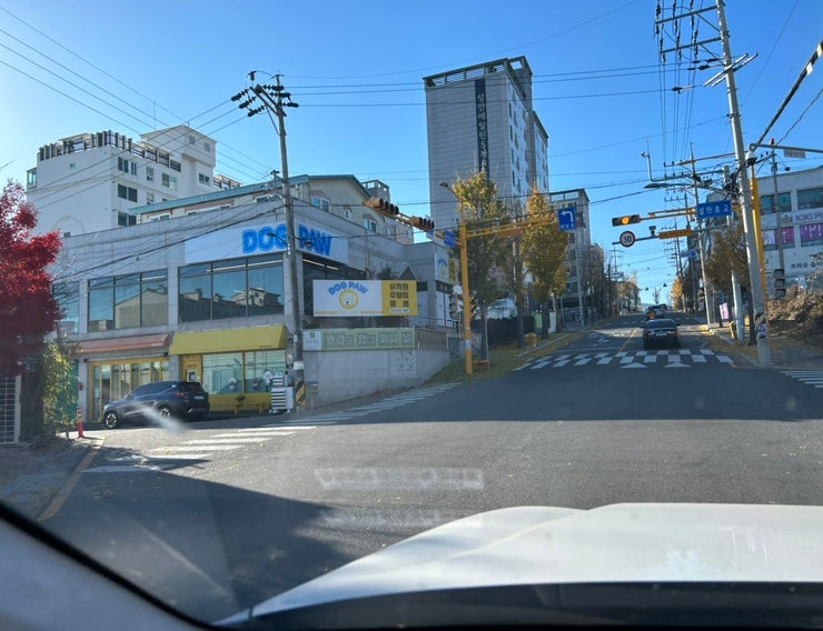 사진 3