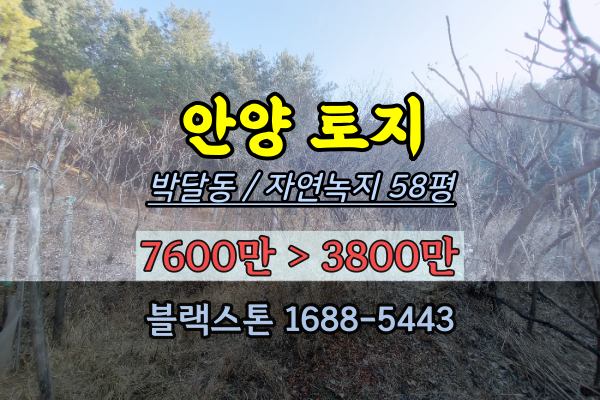 안양시 박달동 토지 경매 대지 50평 자연림 임야 소액투자