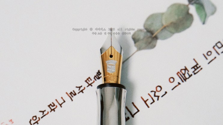  자신만의 계절 (그라폰 클래식 EF닙 만년필로 필사하기)