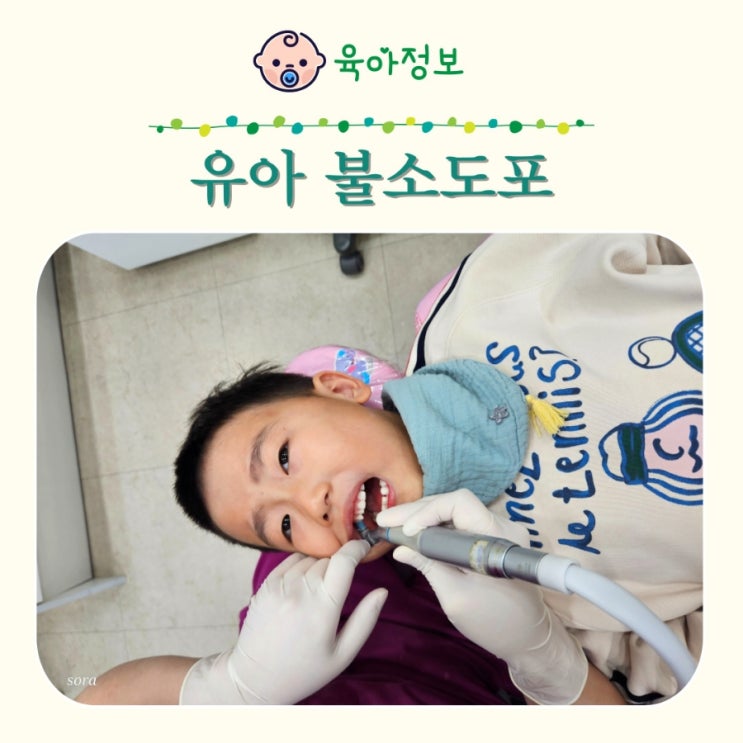  유아 불소도포 후기 가격 주의사항 안양 어린이치과