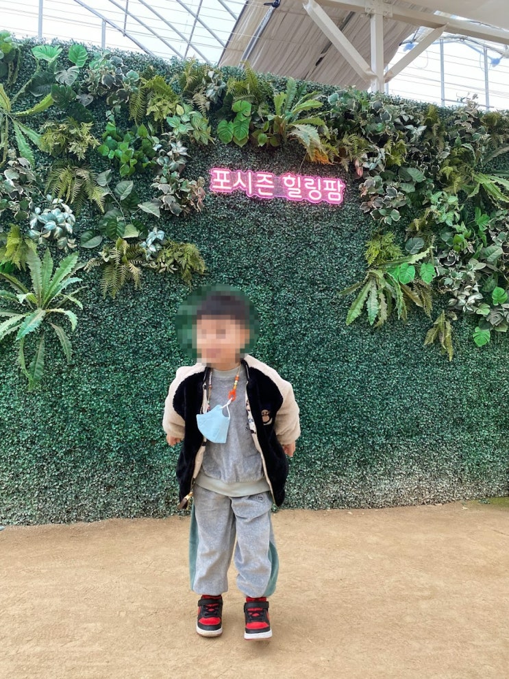 겨울 아기랑 주말 실내 농장체험 수원 포시즌 힐링팜