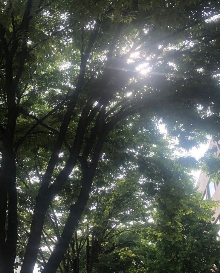 오랜만에 문답
