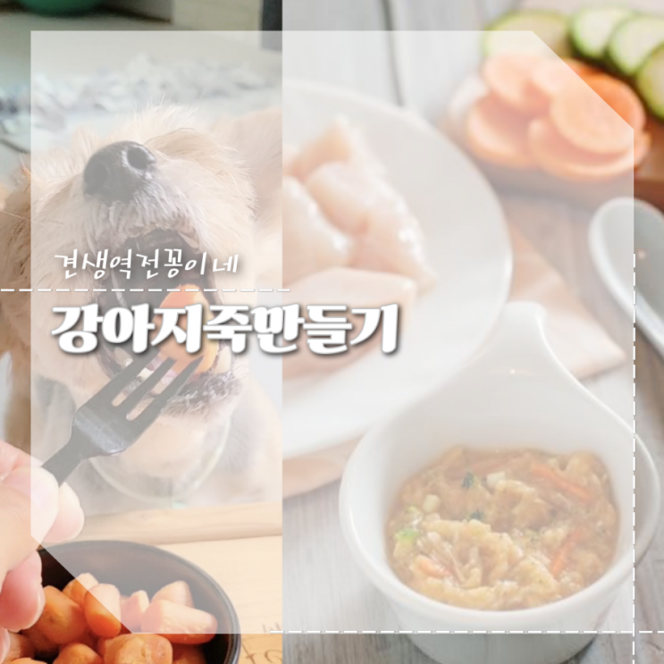  강아지 죽만들기 닭가슴살계란특식 강아지보양식