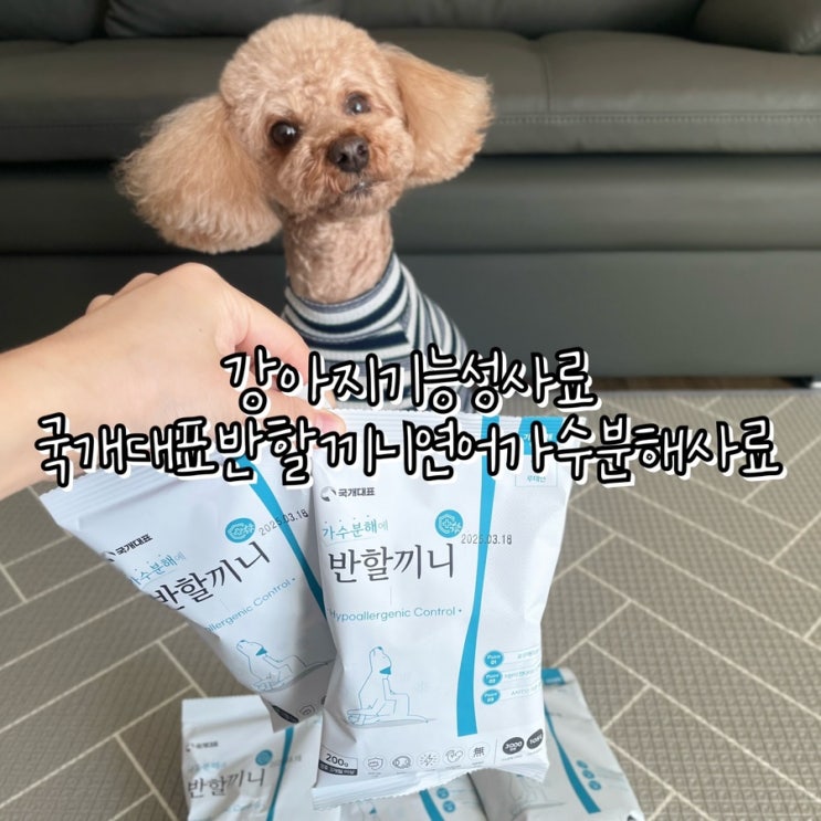  강아지 기능성사료 국개대표 반할끼니 연어 가수분해 사료