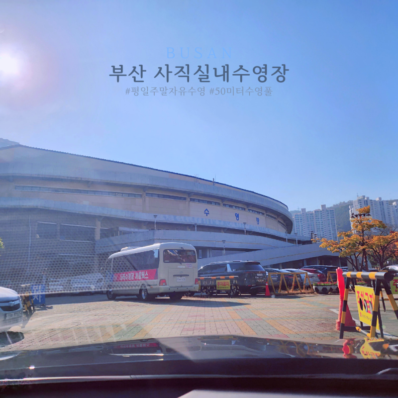 부산 사직실내수영장 ♩ 평일 자유수영 가능한 50미터 사직수영장