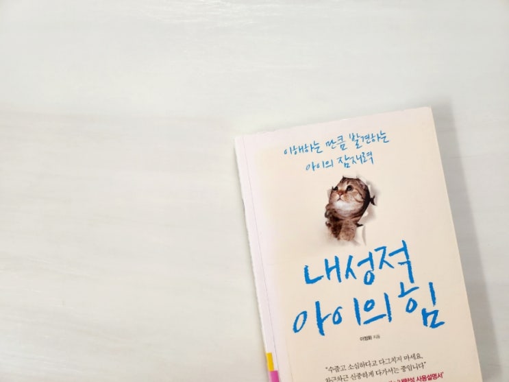  내성적 아이의 힘 - 이정화