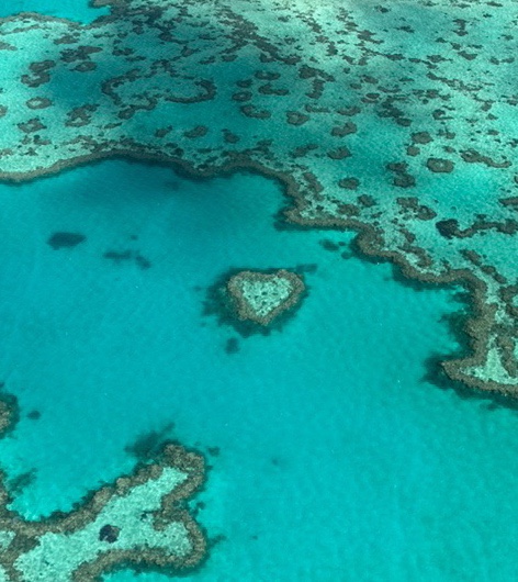 호주 신혼여행 해밀턴 아일랜드: 투어 예약방법, 금액, 후기(산호섬 헬기, 스노클링 크루즈)