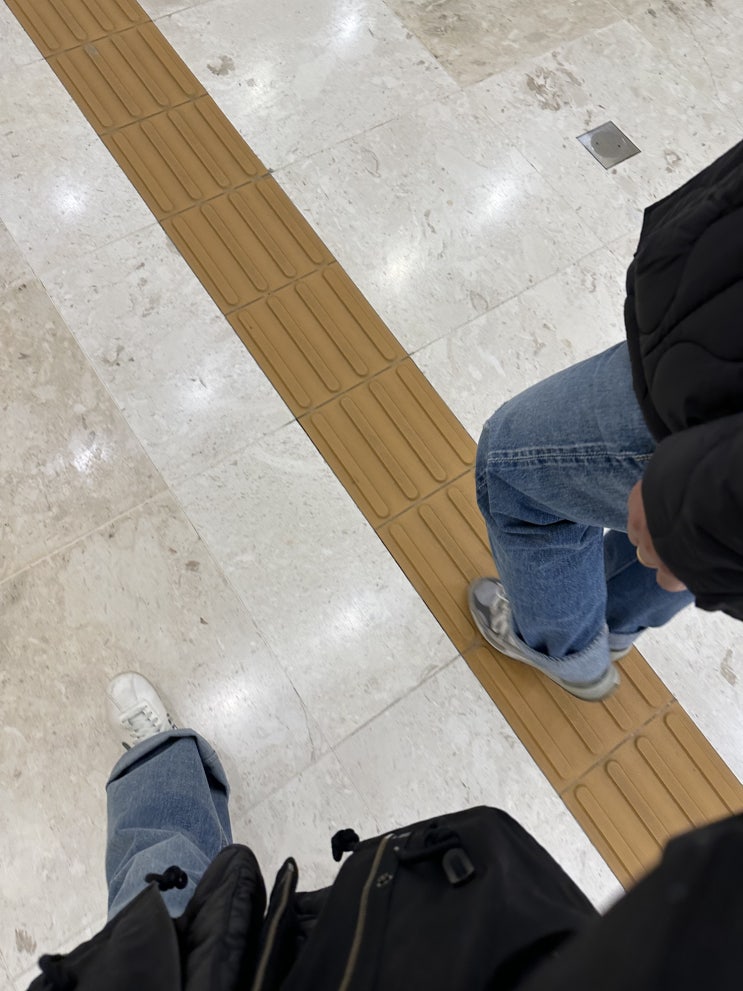 평화로운 일상