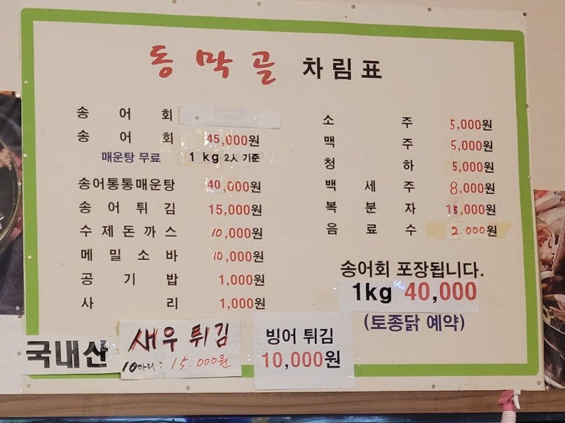 동막골송어 사진 4