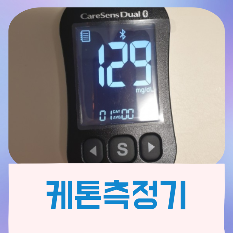  케톤측정기 종류 추천 가격 비교