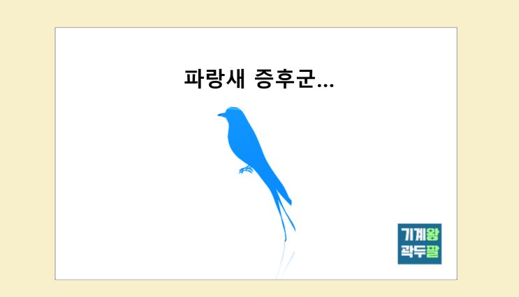  파랑새 증후군, 뜻과 사례