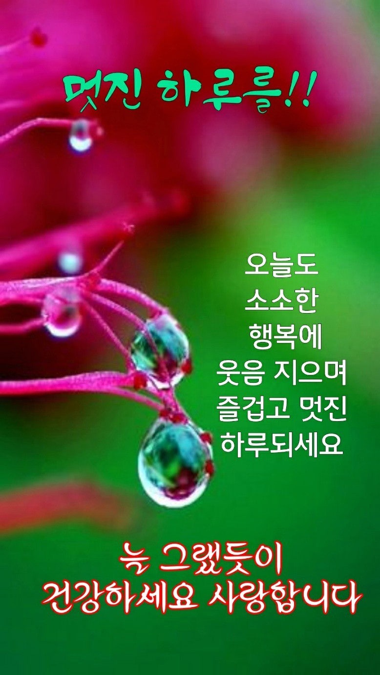 아침좋은글 카톡 인사말 이미지 모음 감사 사랑 기쁨 건강 행복한 하루되세요 : 네이버 블로그