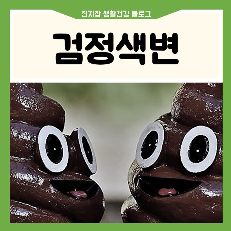 검정색변 검은색변 검은똥 원인 증상 건강 해결
