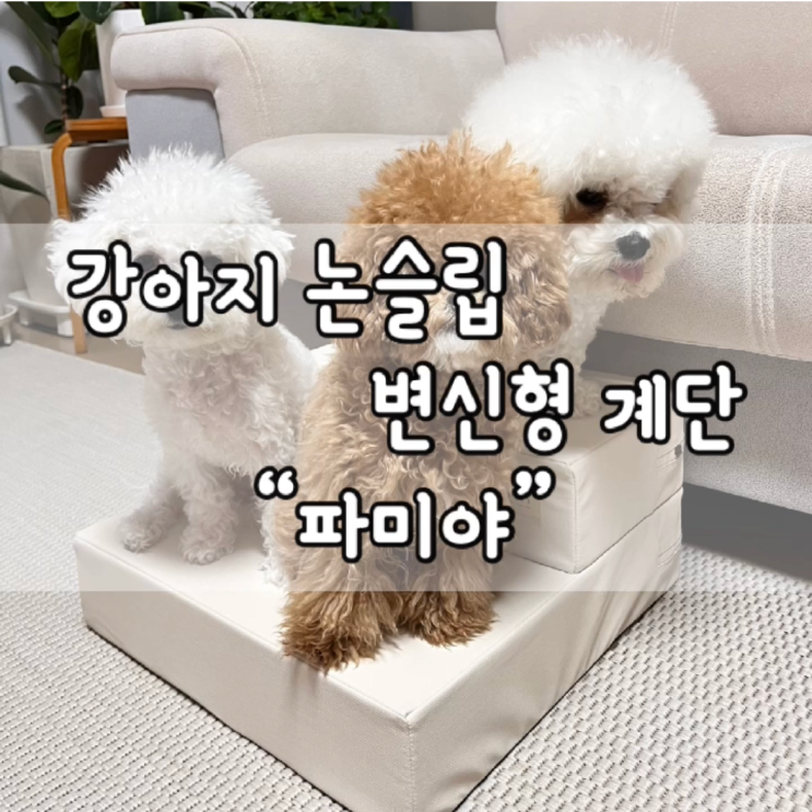  파미야 논슬립 변신형 계단 / 쓸개골 탈구 미끄럼방지 스텝 / 강아지 계단 / 강아지 스텝 / 강아지 용품 / 펫테리어 / 파미야 계단 추천 / 파미야 추천