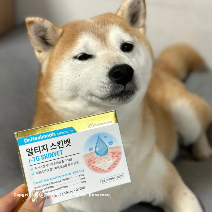  강아지오메가3 닥터힐메딕스 알티지스킨벳