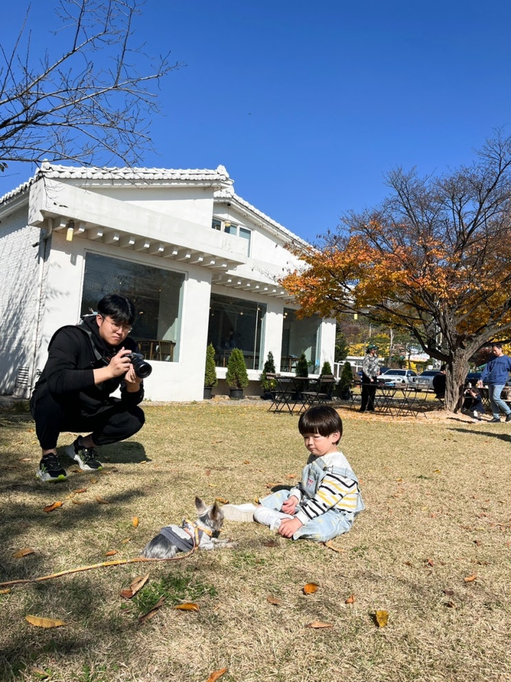 아이와 반려견이 뛰어놀기 좋았던 피크닉 분위기 카페 노만주의