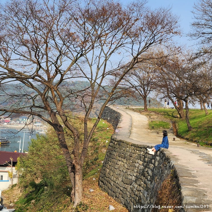 보령 가볼만한곳 오천항 충청수영성 동백꽃필무렵 촬영지