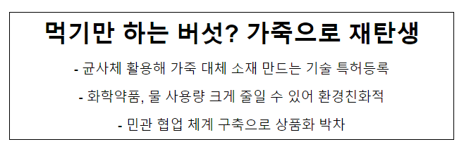 먹기만 하는 버섯? 가죽으로 재탄생 먹기만 하는 버섯? 가죽으로 재탄생