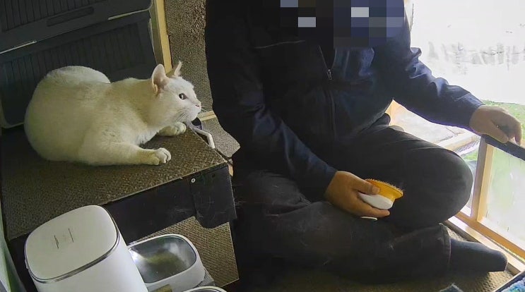  남편도 추우면 옥수 쉼터에 들어간다 ㅋㅋ : 유기묘옥수