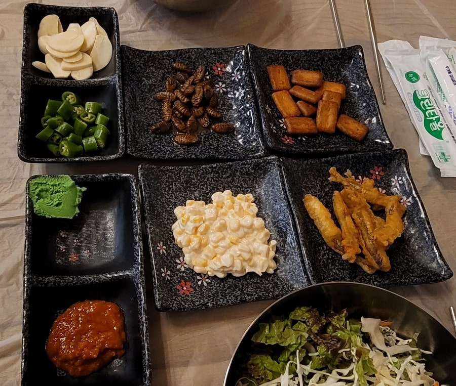 동막골송어 사진 5
