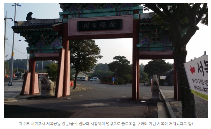 건강한 움직임