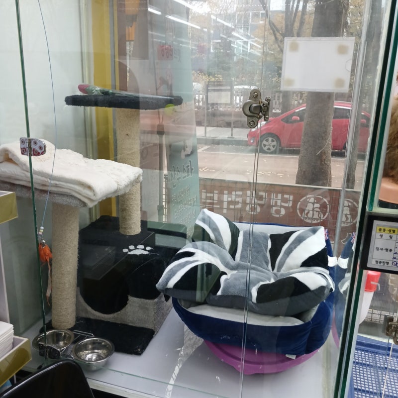 댕댕러브펫