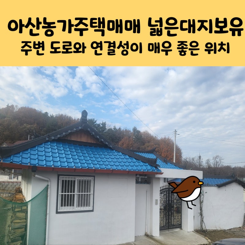 아산농가주택매매 아산도고단독주택 300여평 이상 넓은 대지보유