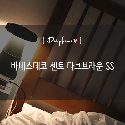 바네스데코 센토 다크브라운 슈퍼싱글 침대 프레임 후기