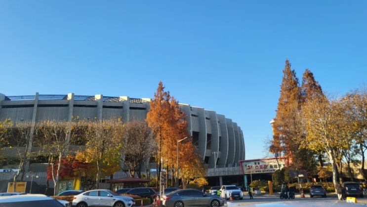 231125 <b>삼성</b>썬더스 VS 울산<b>현대모비스</b> 농구<b>경기</b> 보고옴