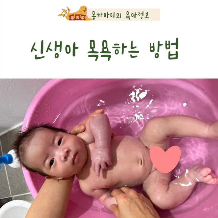  신생아 목욕 방법 온도 주기