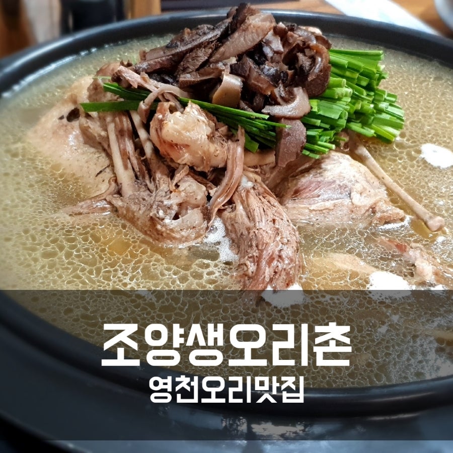 조양생오리촌 사진 1