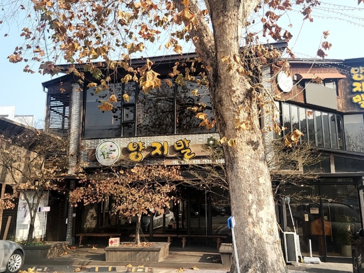  홍천 맛집 양지말 화로구이 고추장 삼겹살