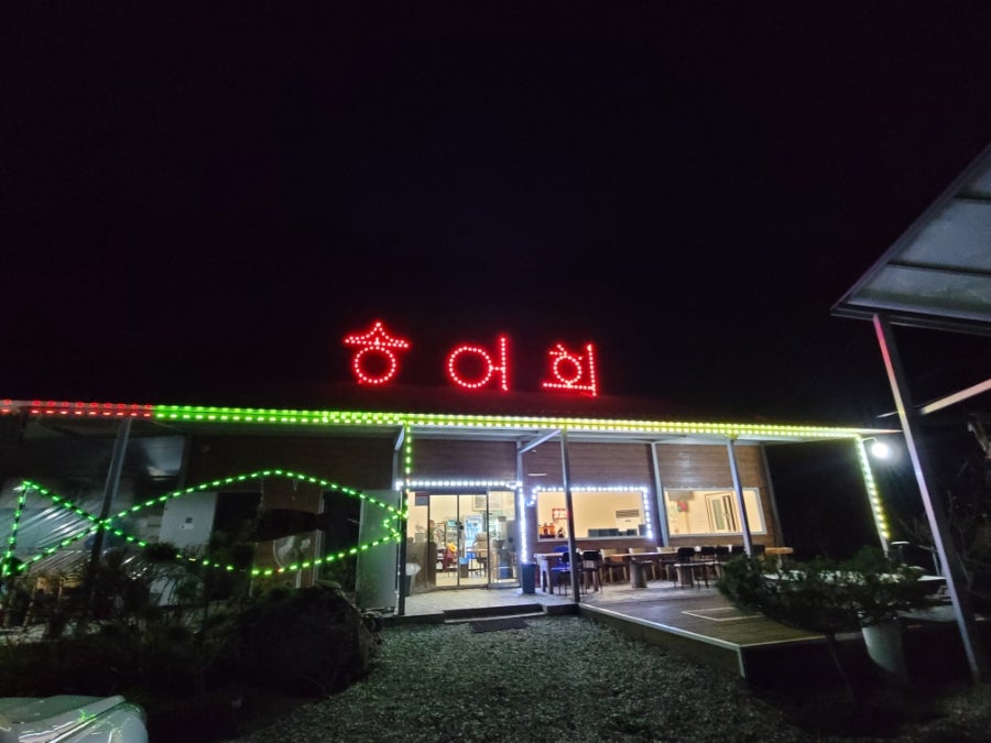 동막골송어 사진 3