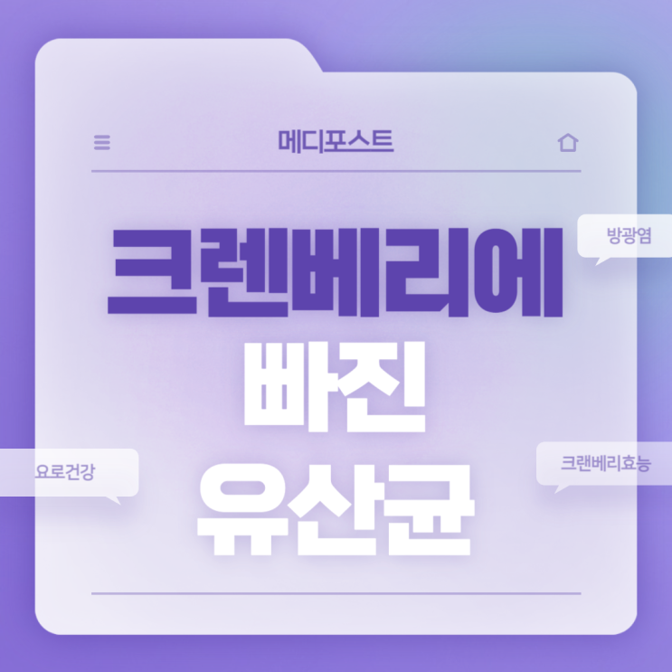  방광염 유산균 : 크랜베리에 빠진 유산균 특징 및 후기 【#크랜베리효능 #방광염증상 #요로건강】